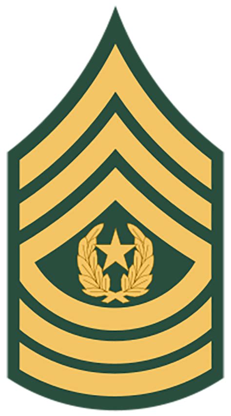 Command Sergeant Major Badges