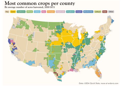 Common Crops to Plant