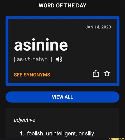 Common Synonyms for Asinine