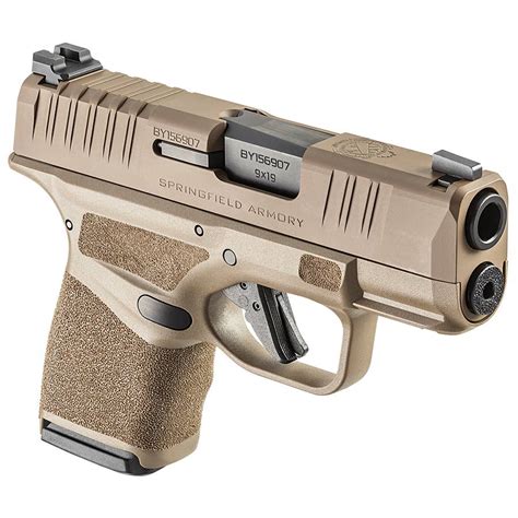 Ruger LC9s Image