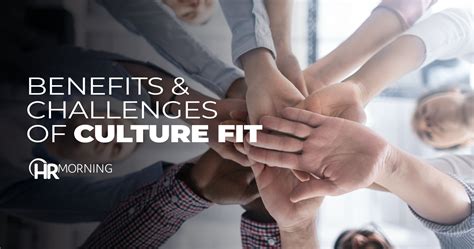 Company culture fit