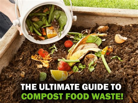 Composting Food Waste