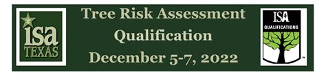 Consulting and Risk Assessment in San Antonio