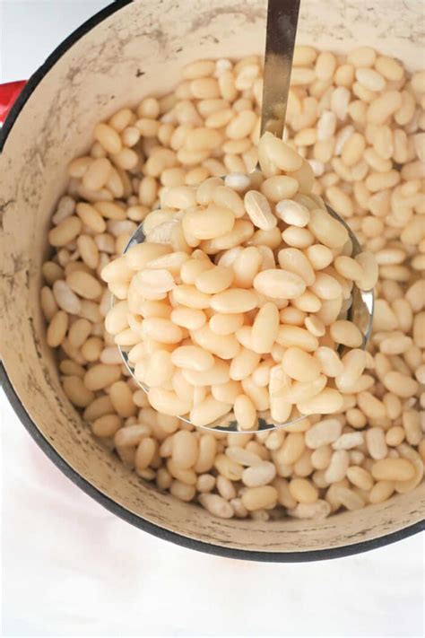 Cooking with Navy Beans