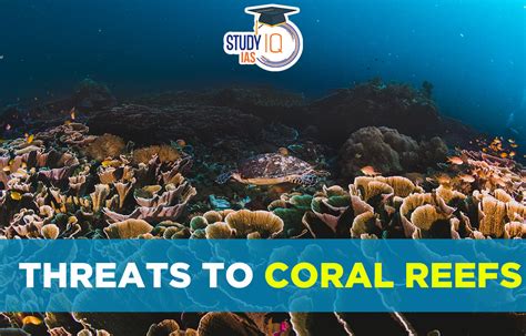 Coral Reef Threats