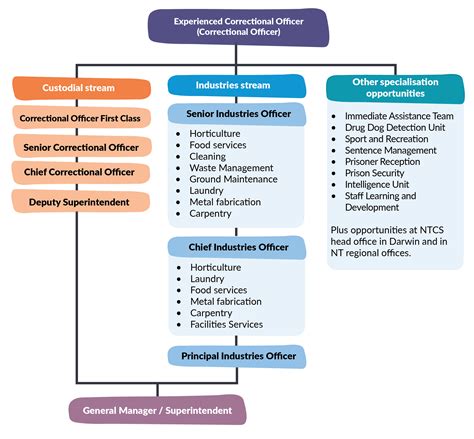 Correctional Officer Requirements Image 2