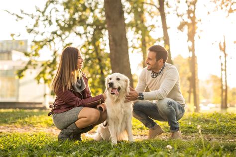 Couple playing with their pets