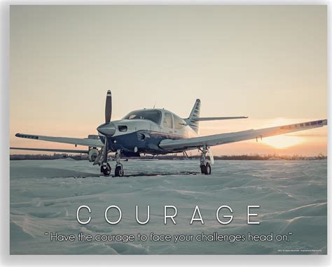 Courage in Aviation