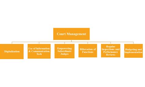 Court Management Systems