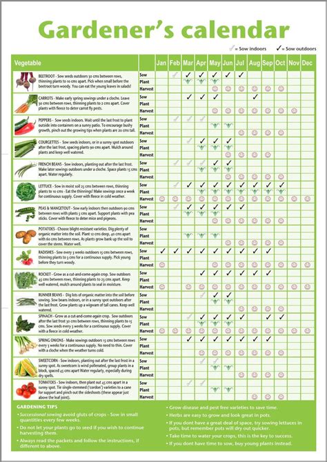 Creating a Garden Calendar for Zone 6