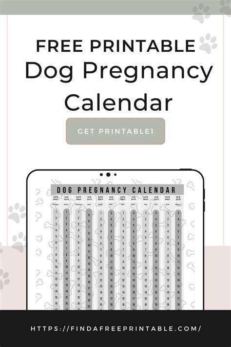 Creating a Dog Pregnancy Calendar