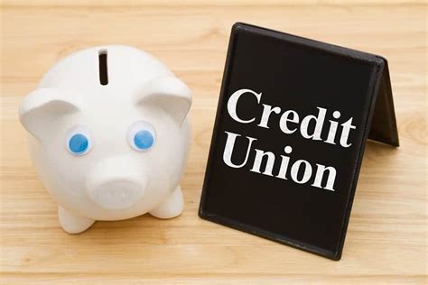 Description of Credit Union Business Loans