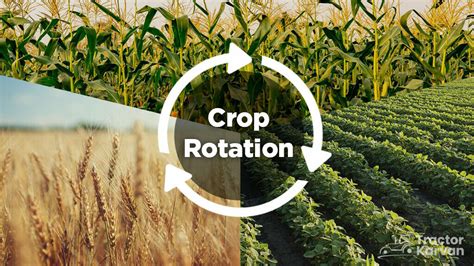 Crop rotation benefits