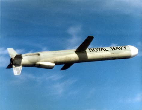 Cruise Missile in Flight