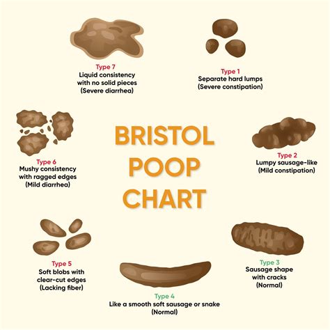 The Cultural Significance of Poo