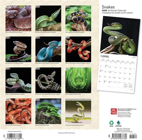 Cultural Snake Calendar