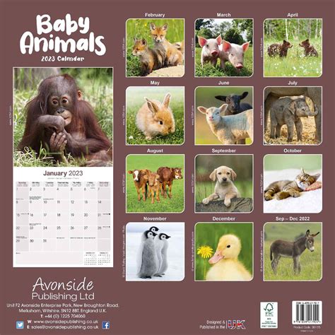 Cute Animal Calendars