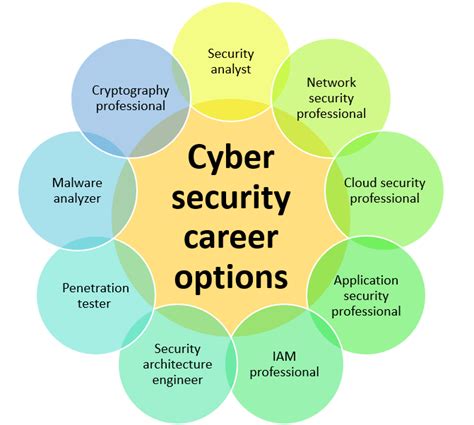 Cybersecurity career path infographic