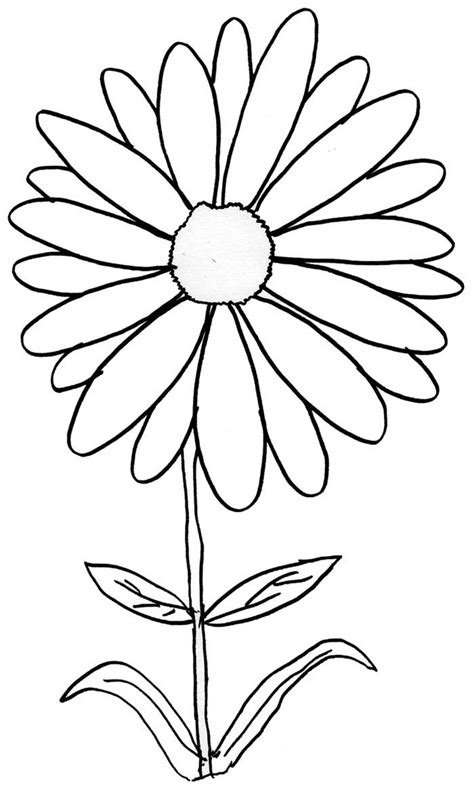 Daisy Coloring Page