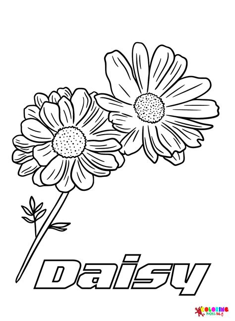 Daisy coloring page