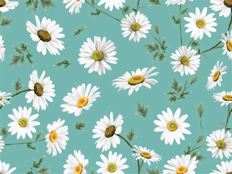 Daisy Pattern