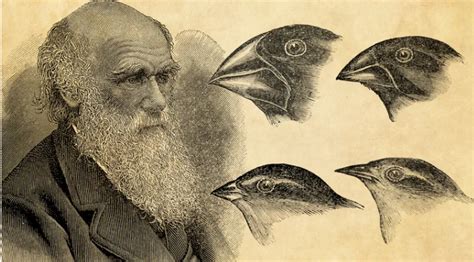 Image of Charles Darwin