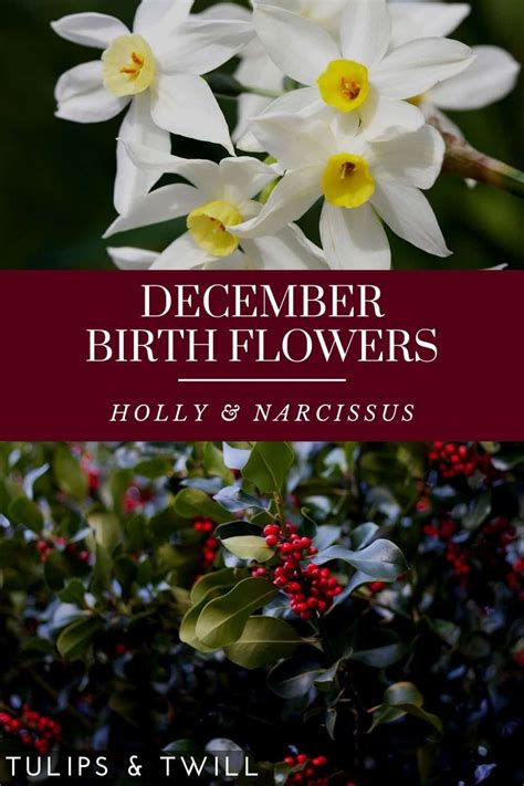 December birth flower tattoo ideas