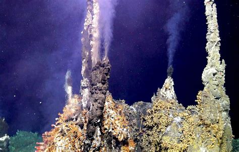 A deep-sea vent in the ocean's abyss