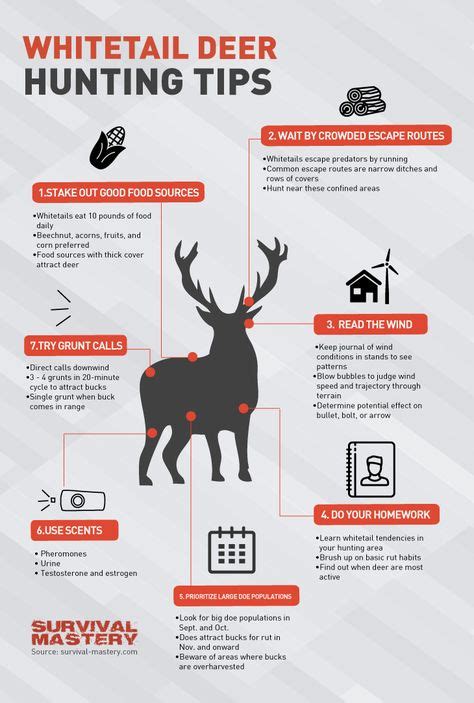 Deer hunting strategies