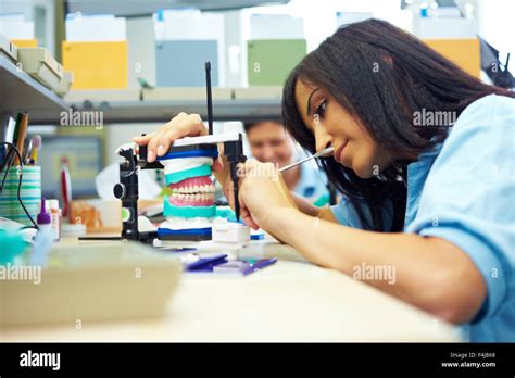 Dental Lab Technician Career