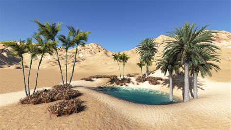 Desert Oasis Landscape