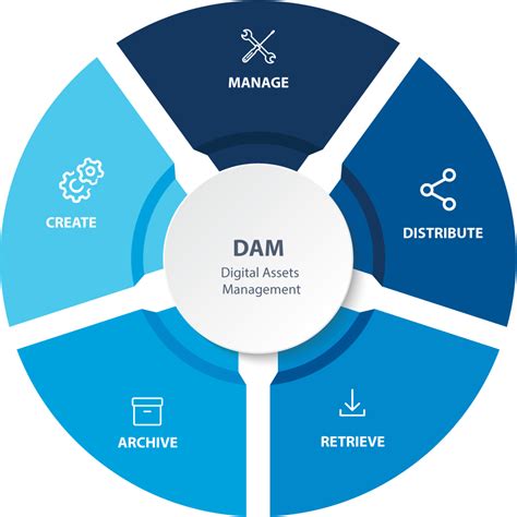 Digital asset manager organizing files