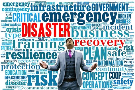 Disaster Response and Recovery