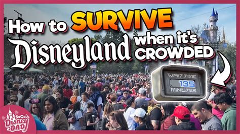 Disneyland Crowd Tips