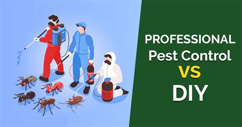 DIY Pest Control vs. Professional Services