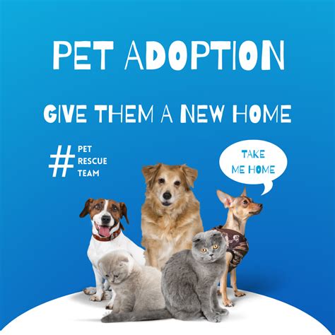 Dog Adoption Calendar