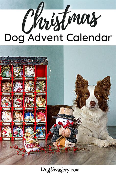 Dog Advent Calendar Fun