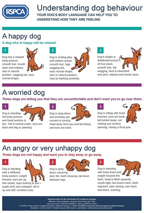 Dog behavior chart