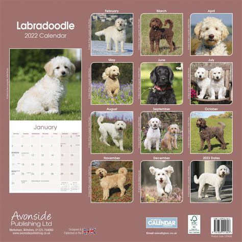 Dog Breeds Calendar