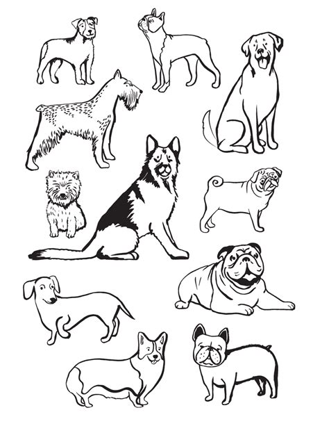 Description of Dog Breeds to Color