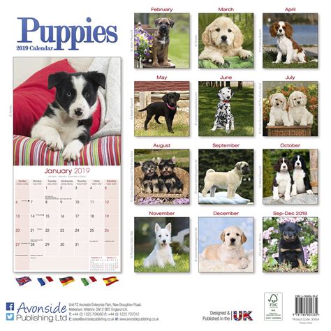 Dog Calendars