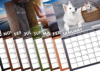 Dog Photography Calendar