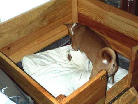 Dog Pregnancy Whelping Box