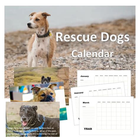 Dog Rescue Calendar