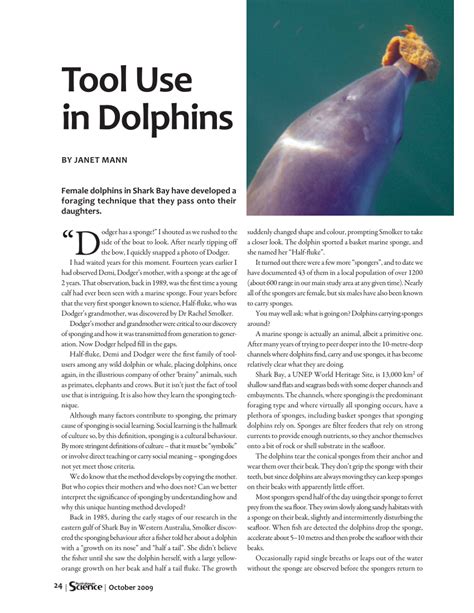 Dolphin Tool Use