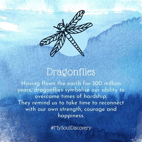 Symbolism Behind Dragonfly Tattoos