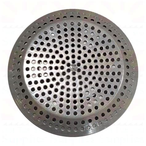 Drain Screen