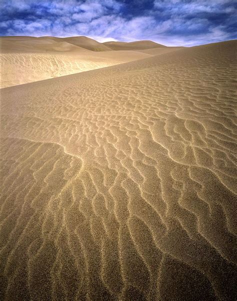 The Dune Sea