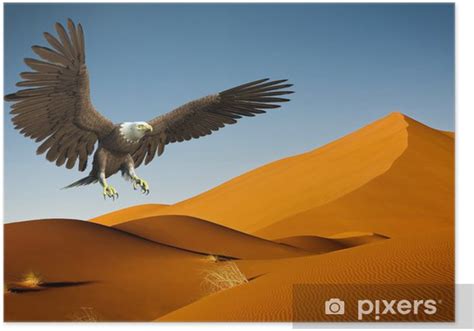 Eagle Desert Hunting