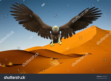 Eagle Desert Landing